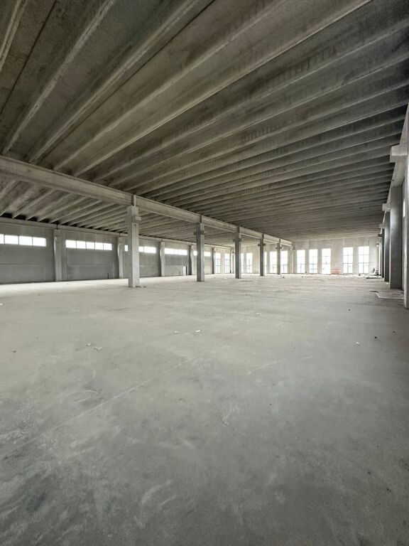 🏭 PREMIUM INDUSTRIAL WAREHOUSE FOR RENT | PORTO ROMANO