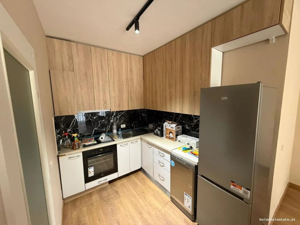 Appartamento in affitto 1+1 al Lago Secco (ID B2101892) Tirana