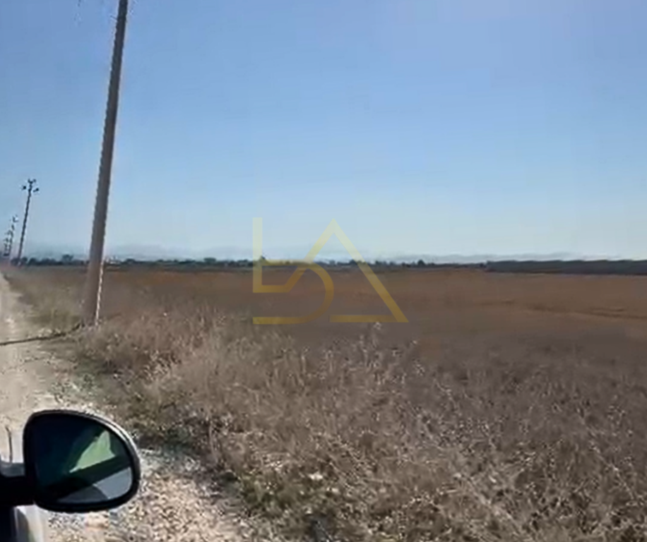 SHITET TOKË – BISHT KAMËZ, DURRËS