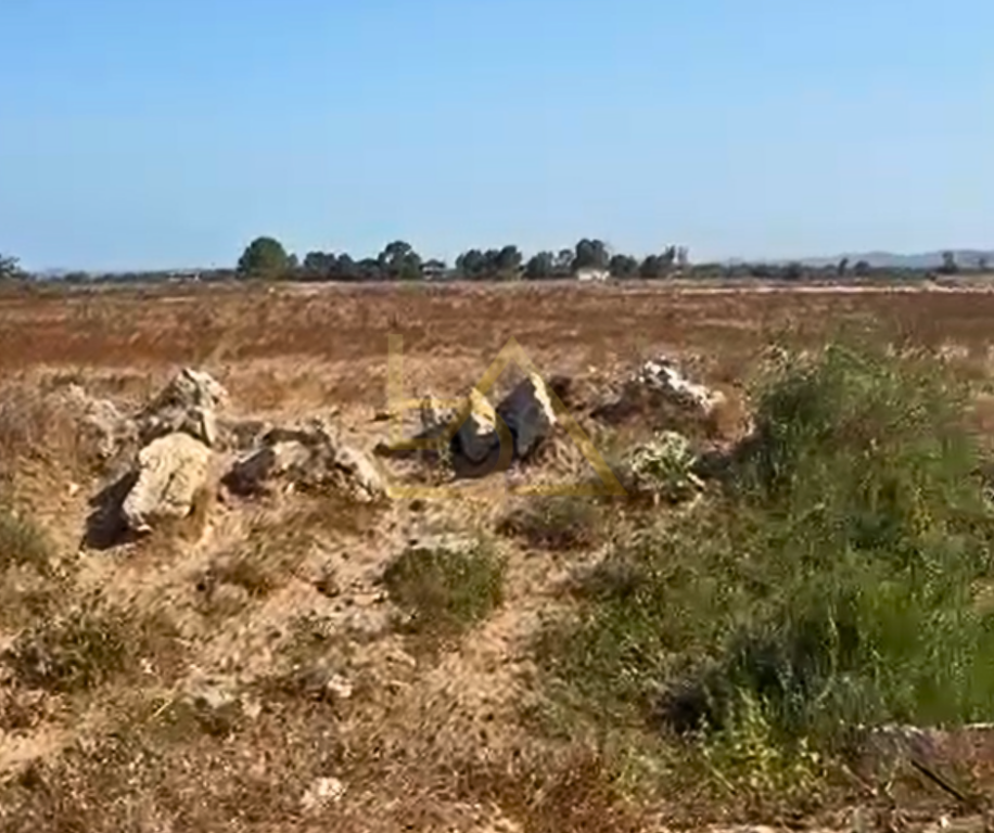 SHITET TOKË – RINIA, DURRËS