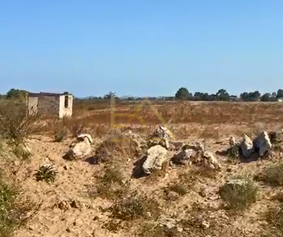 SHITET TOKË – RINIA, DURRËS