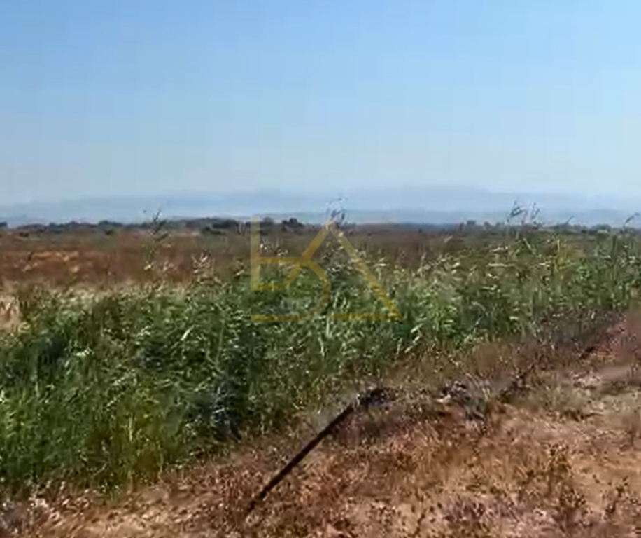 SHITET TOKË – RINIA, DURRËS