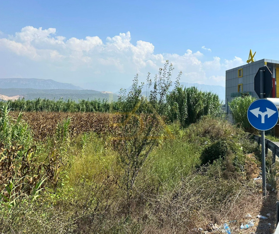SHITET TOKË – DERVEN, FUSHË-KRUJË