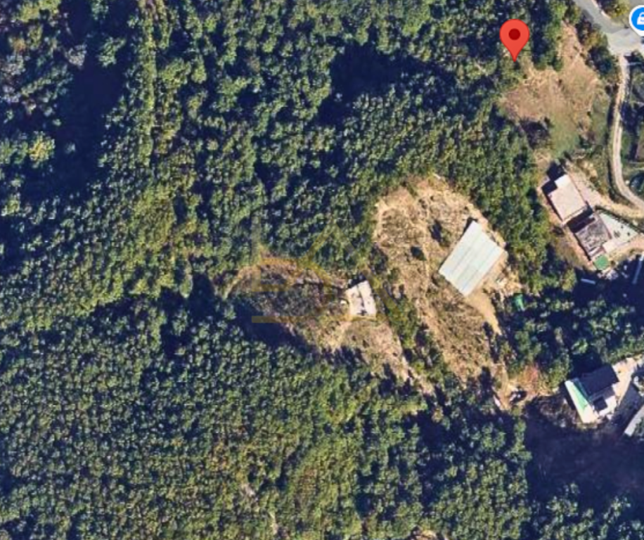 SHITET TOKË – HYRJE E PETRELËS, TIRANË