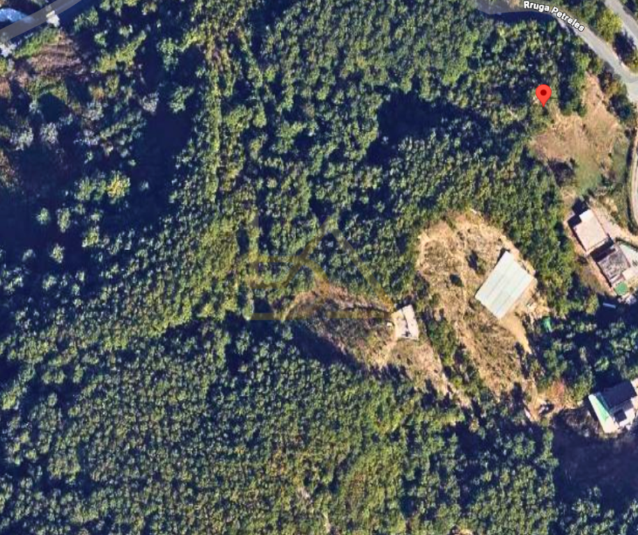 SHITET TOKË – HYRJE E PETRELËS, TIRANË