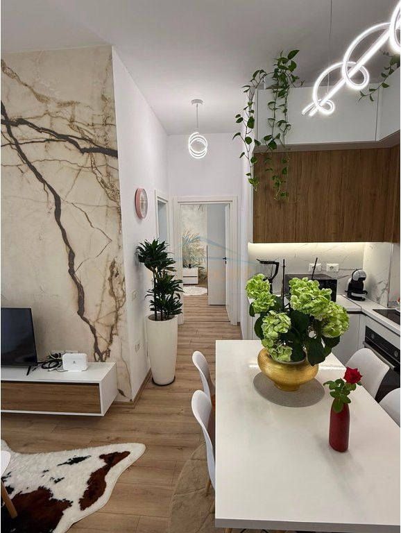 Rent, Apartment 1+1, Dry Lake, Tirana