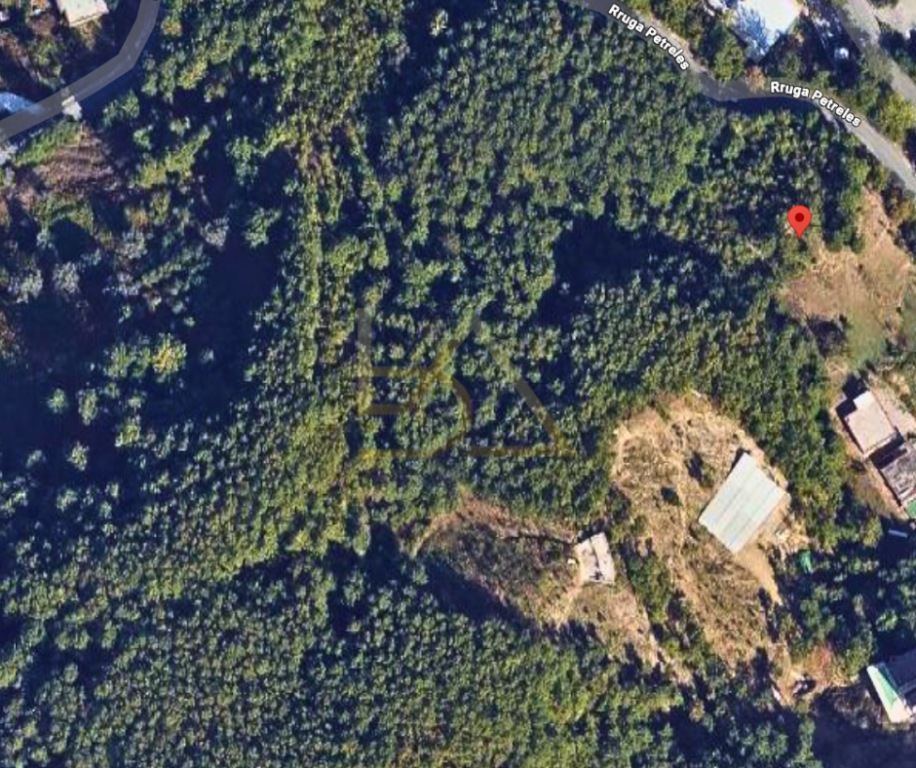 SHITET TOKË – HYRJE E PETRELËS, TIRANË