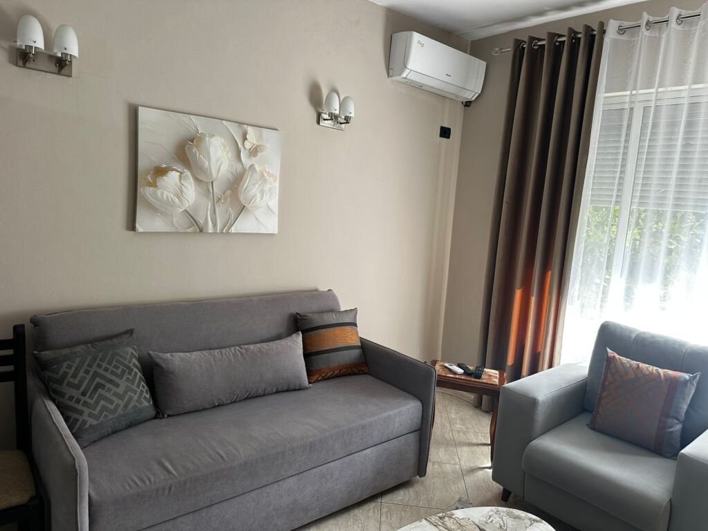 Apartment 1+1 for rent