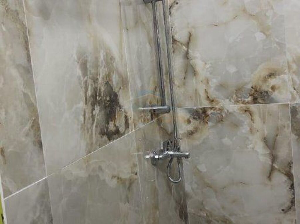 Rent, Apartment 1+1, Alidemi, Tirana.