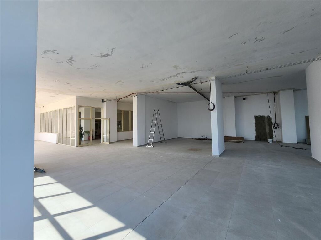 Ambjent biznesi me qera 250 m2