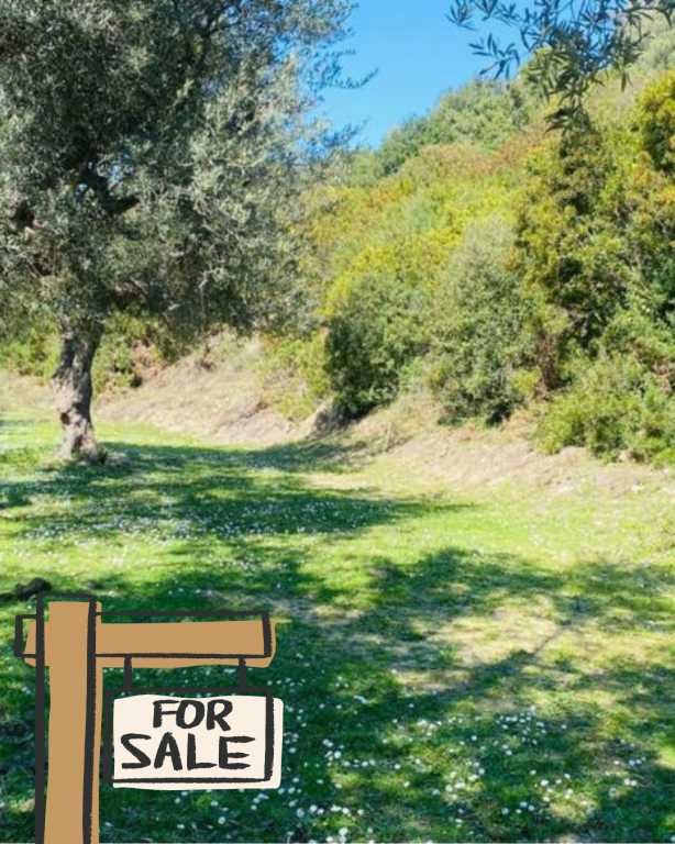 🌿 SHITET TOKË – LUKOVË | SARANDË