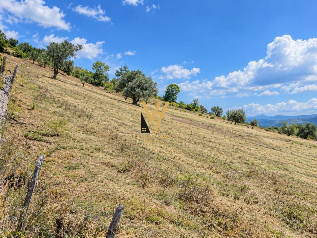 SHITET TOKE ARE 5.300 M2 NE KODER KASHAR 640.000 EURO
