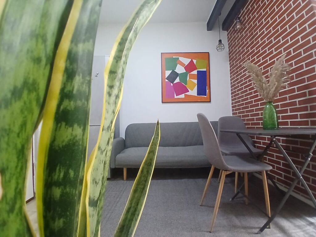 Affittasi appartamento 1+1
