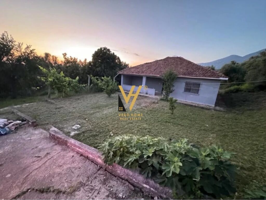 SHITET TRUALL + SHTEPI NE FARKE TE VOGEL 360.000 EURO