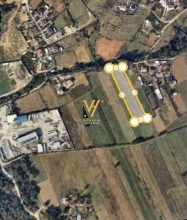 SHITET TOKE 4.000 M2 NE DRITAS, ZALL HERR 9.500.000 LEKE