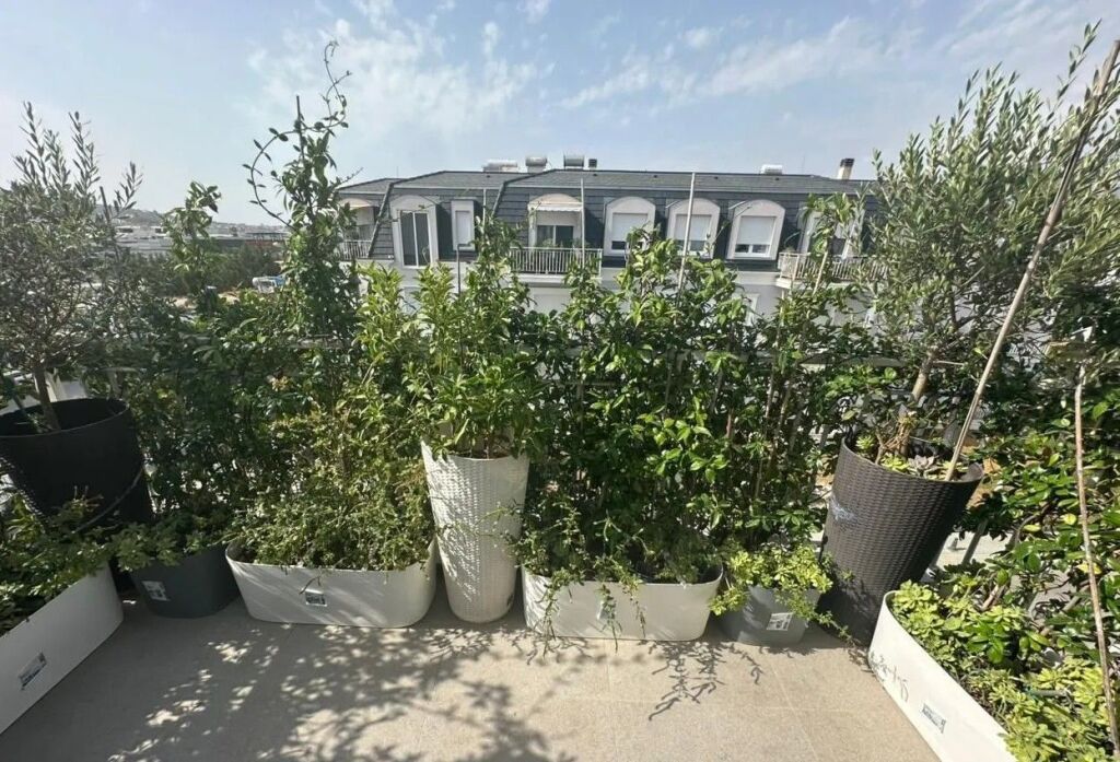 ✨JEPET ME QIRA APARTAMENT LUKSOZ 2+1 – JOY RESIDENCE ✨