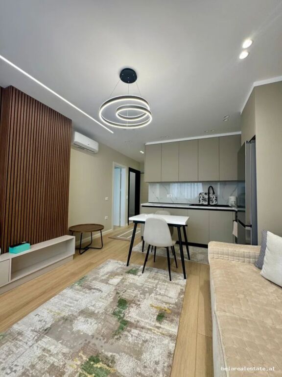 Appartamento In Affitto 1+1 Vicino Brryli (ID B2101899) Tirana