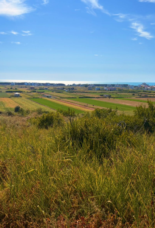 OCCASIONE | TERRENO IN VENDITA – SPILLE