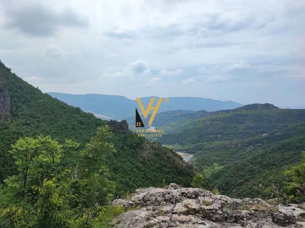 SHITET TOKE 1.000 M2 NE IBE E POSHTME 12.500.000 LEKE