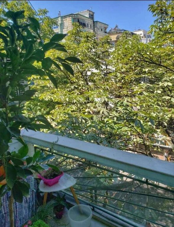 Apartament 2+1 me Qira në Bllok – Afër Sheshit Wilson, Tiranë