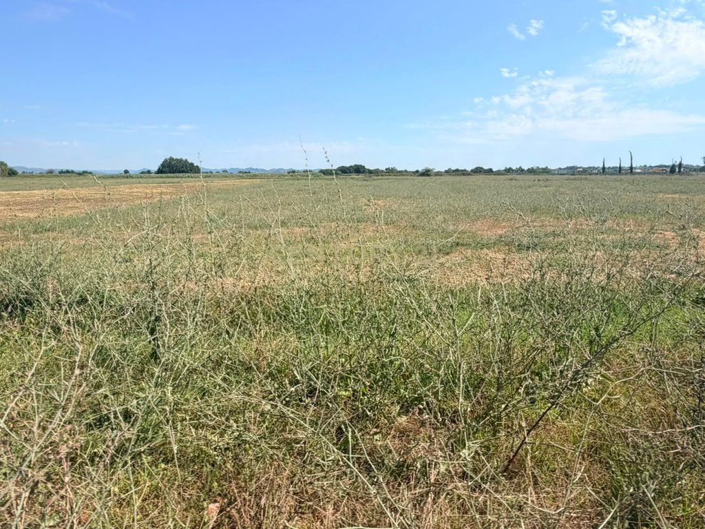 SHITET TOKË 4,000 m² NË FLLAKË, DURRËS – 140,000 € | ÇMIM I DISKUTUESHËM
