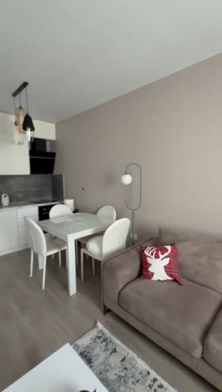 Apartment 1+1 for rent siri Kodra !