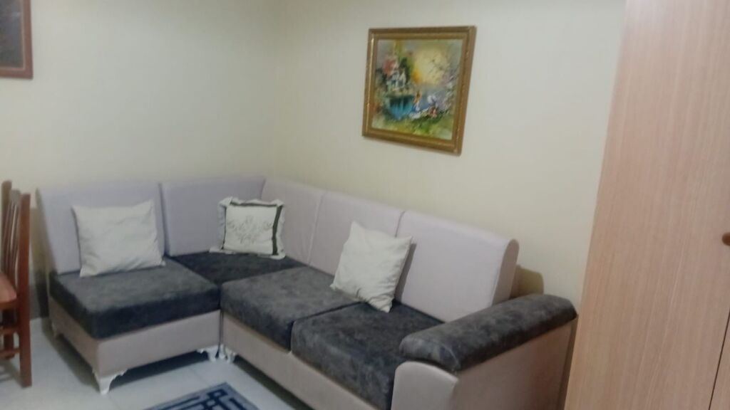 Apartment 1+1 for rent 21 December  !