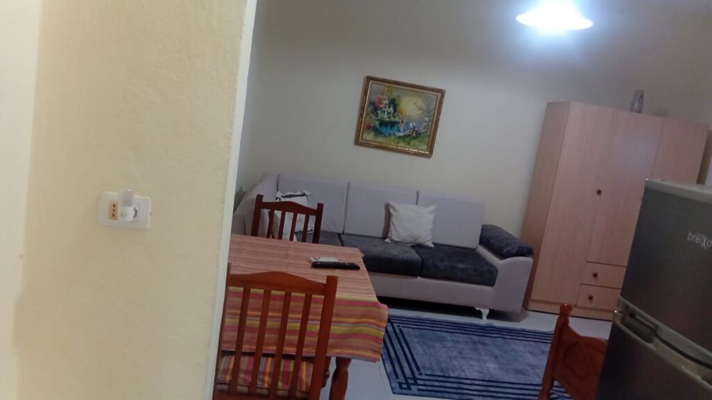 Apartment 1+1 for rent 21 December  !