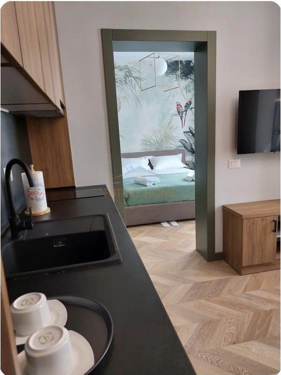 Qera, Apartament 1+1, Mozaiku i Tiranes, Tiranë