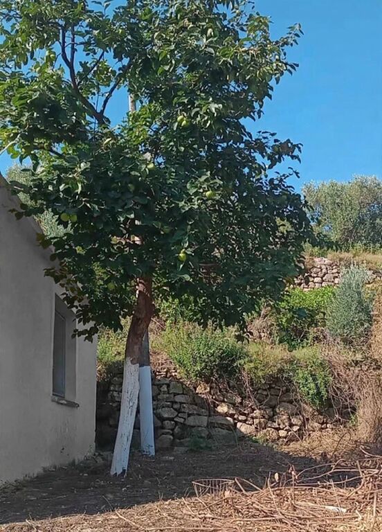 Shitet Trruall &amp; Shtepi Private Sarande Qafe Gjashte