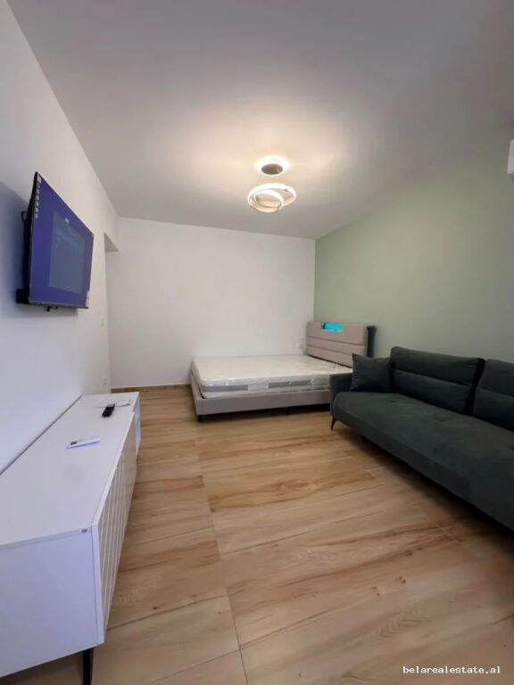 Apartment For Rent 1+1 at Old Electric Market (ID B211492) Tirana