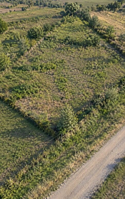 LAND FOR SALE 3,000 M2 MAMINAS 155,000 EURO FH-93055
