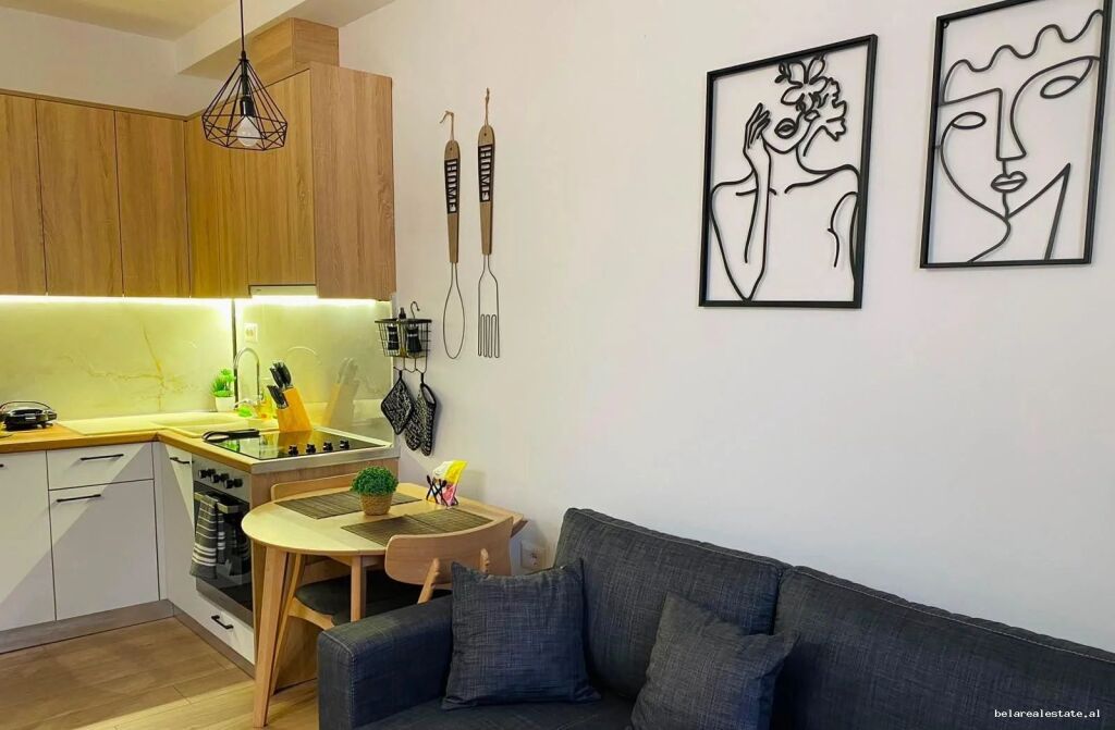 Appartamento In Affitto 2+1 A Myslym Shyr (ID B2202102) Tirana