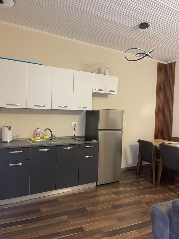 Apartament 1+1 mine peza, prane le bon, shpi private, 600 mij lek