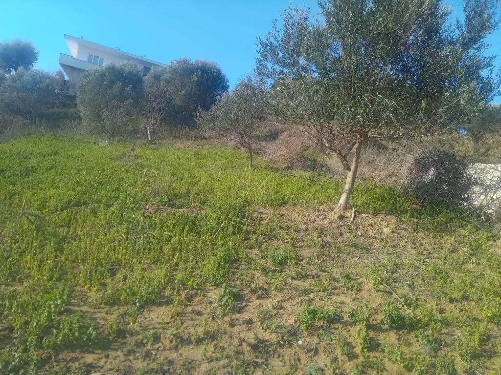 🏡 TOKË PËR SHITJE – PRANE REZERVUARIT, DURRËS!