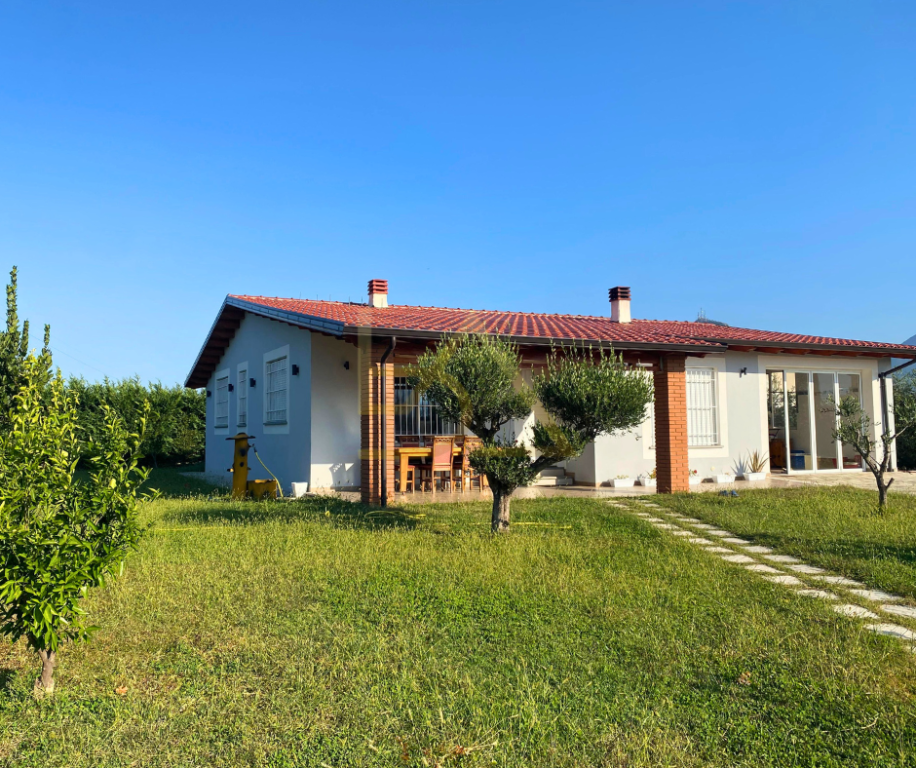 SHITEN 2 KAPANONE DHE SHTËPI PRIVATE – ISHULL - LEZHË, LEZHË