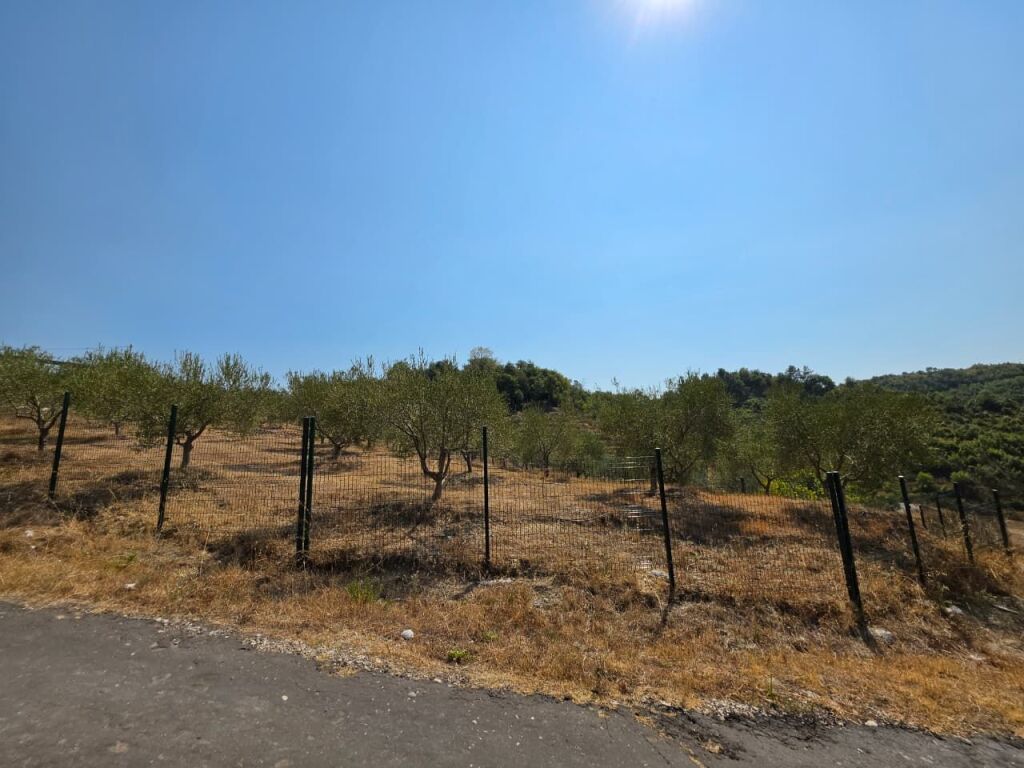 SHITET: TOKË PREMIUM NË PICALLË – 2,000 m² | INVESTIM ME POTENCIAL TË JASHTËZAKONSHËM 💎