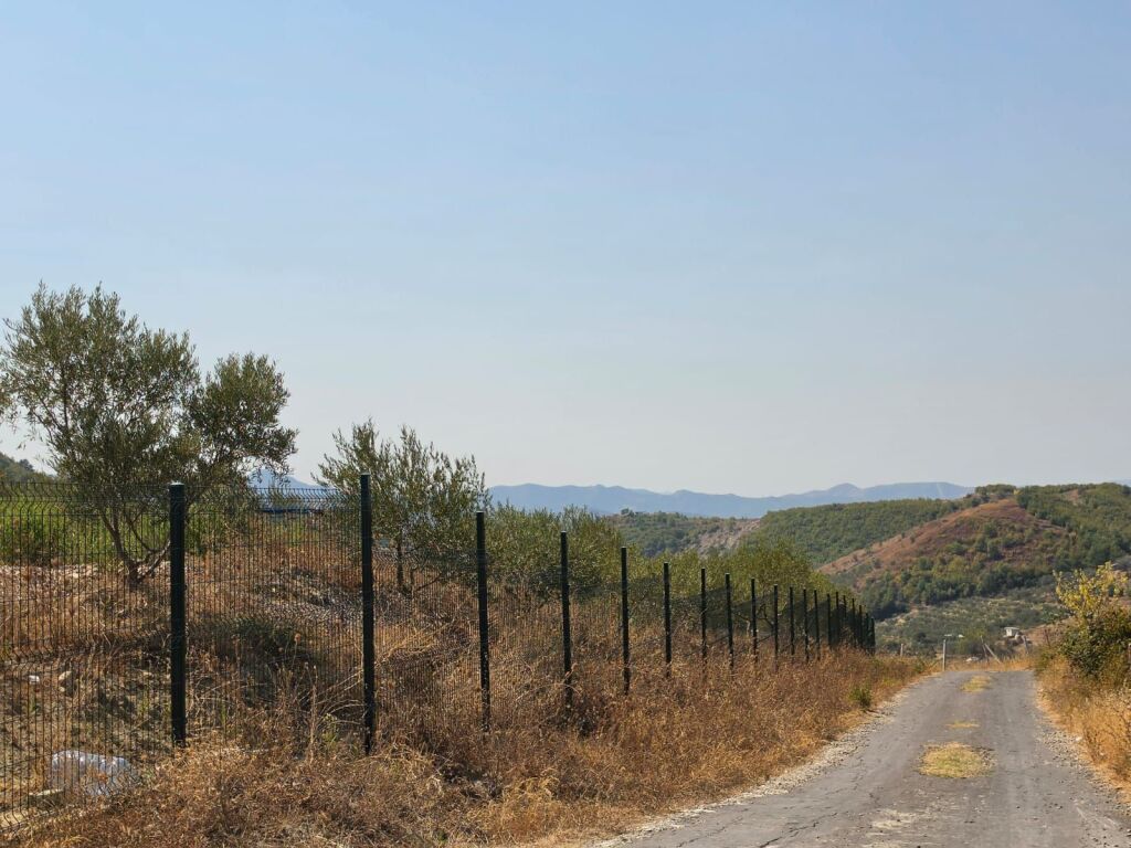 SHITET: TOKË PREMIUM NË PICALLË – 2,000 m² | INVESTIM ME POTENCIAL TË JASHTËZAKONSHËM 💎