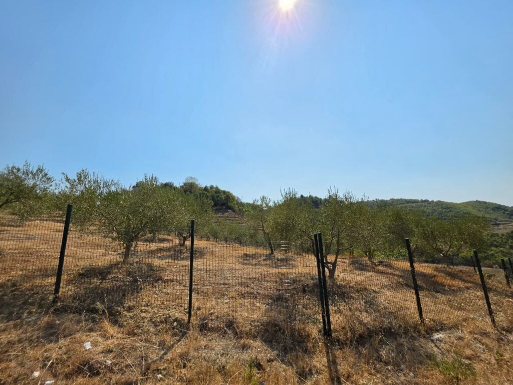 SHITET: TOKË PREMIUM NË PICALLË – 2,000 m² | INVESTIM ME POTENCIAL TË JASHTËZAKONSHËM 💎