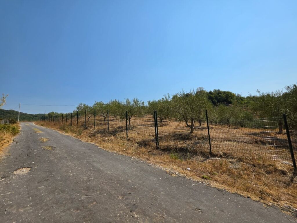 SHITET: TOKË PREMIUM NË PICALLË – 2,000 m² | INVESTIM ME POTENCIAL TË JASHTËZAKONSHËM 💎