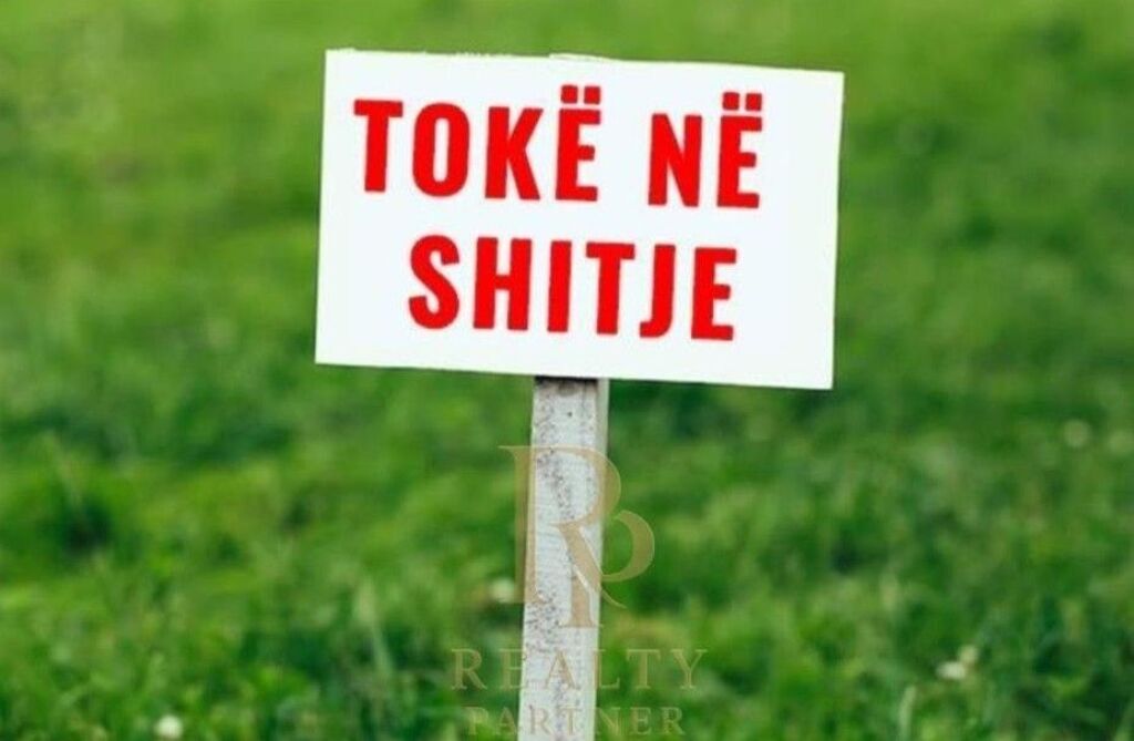SHITET TOKE NE LUNDER