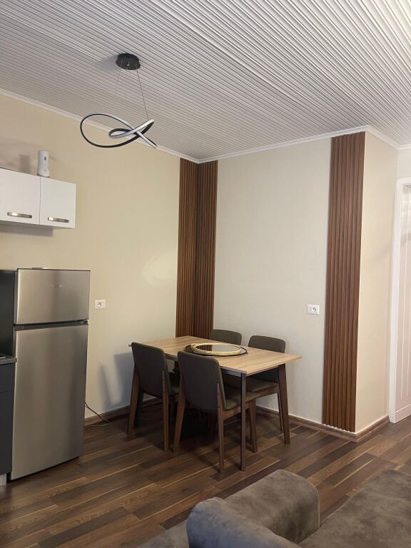 Apartament 1+1 mine peza, prane le bon, shpi private, 600 mij lek