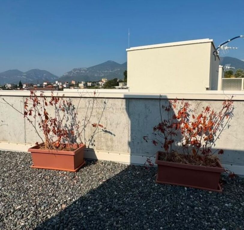 🏡 IN AFFITTO – VILLA | RESIDENZA ABA, TIRANA