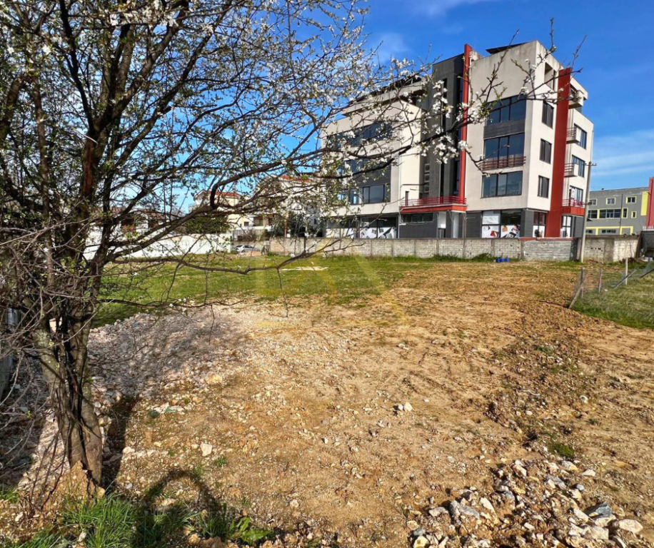 SHITET TOKË – PRANË SPITALIT SALUS, TIRANË