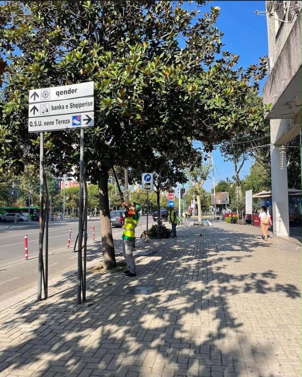 PAZARI I RI DYQAN PER QERA BUZE RRUGES KRYESORE QENDER