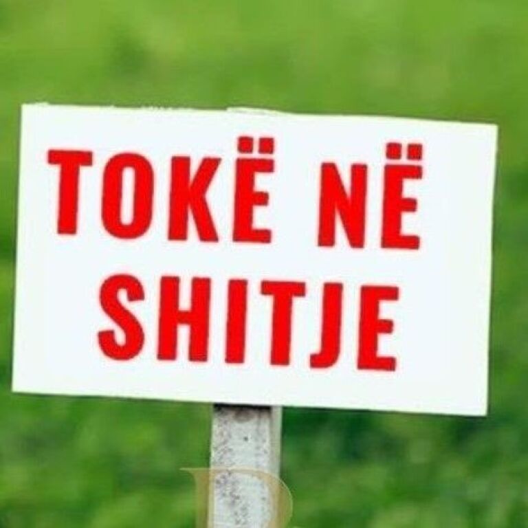 🌳 SHITET TOKË – LUNDËR 📍