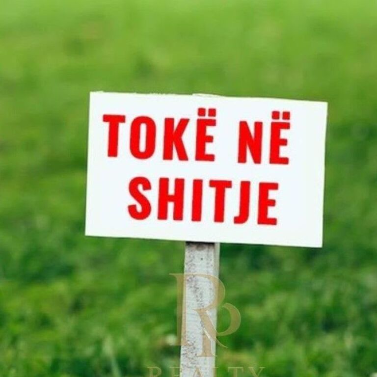 🌳 SHITET TOKË – LUNDËR 📍