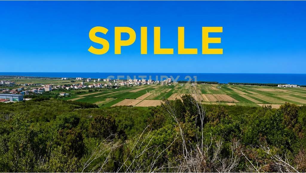 TOKE NE SPILLE ME PAMJE NGA DETI NE KODER PER SHITJE !