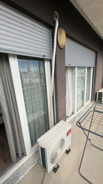 Apartament 1+1, Don Bosko!
