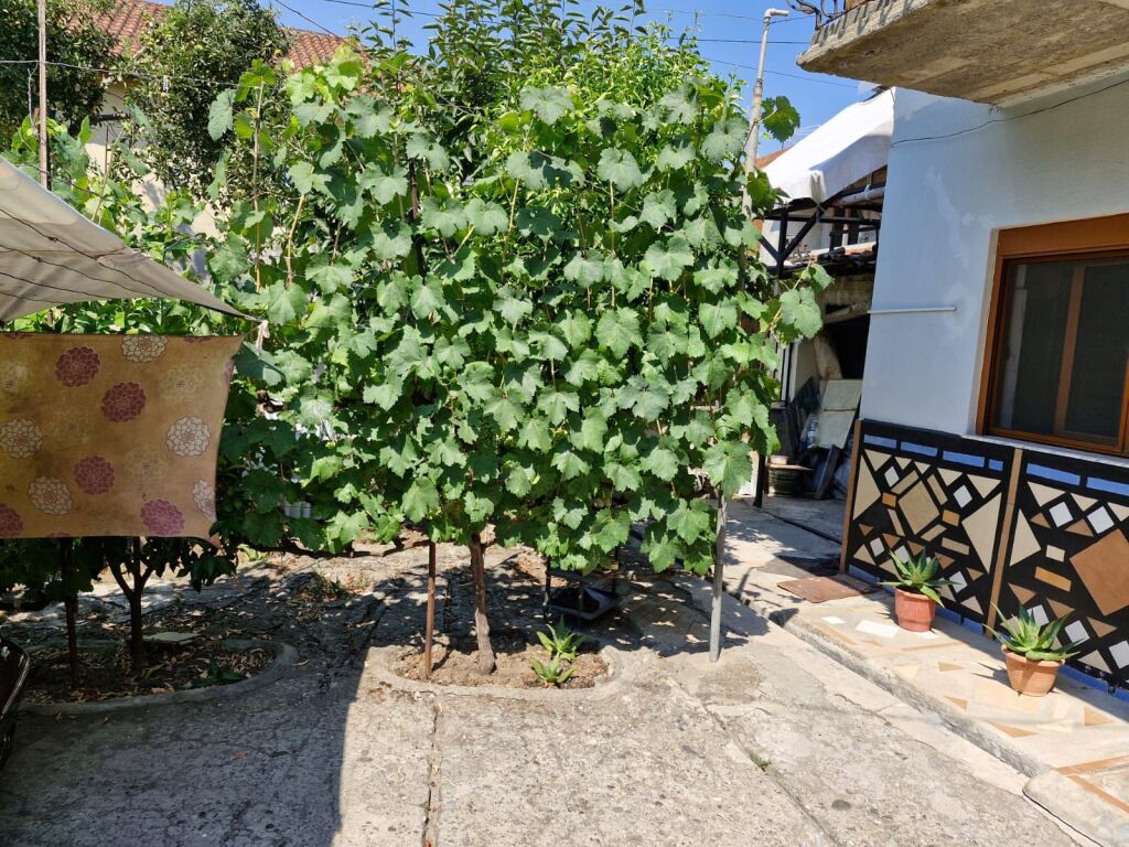 Private house 2+1 280 m² with yard and garage on floor 0 for sale by owner